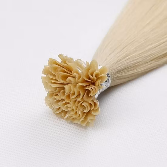 Estensione dei capelli umani di colore del pianoforte di punta di U dei capelli russi della cuticola piena vergine